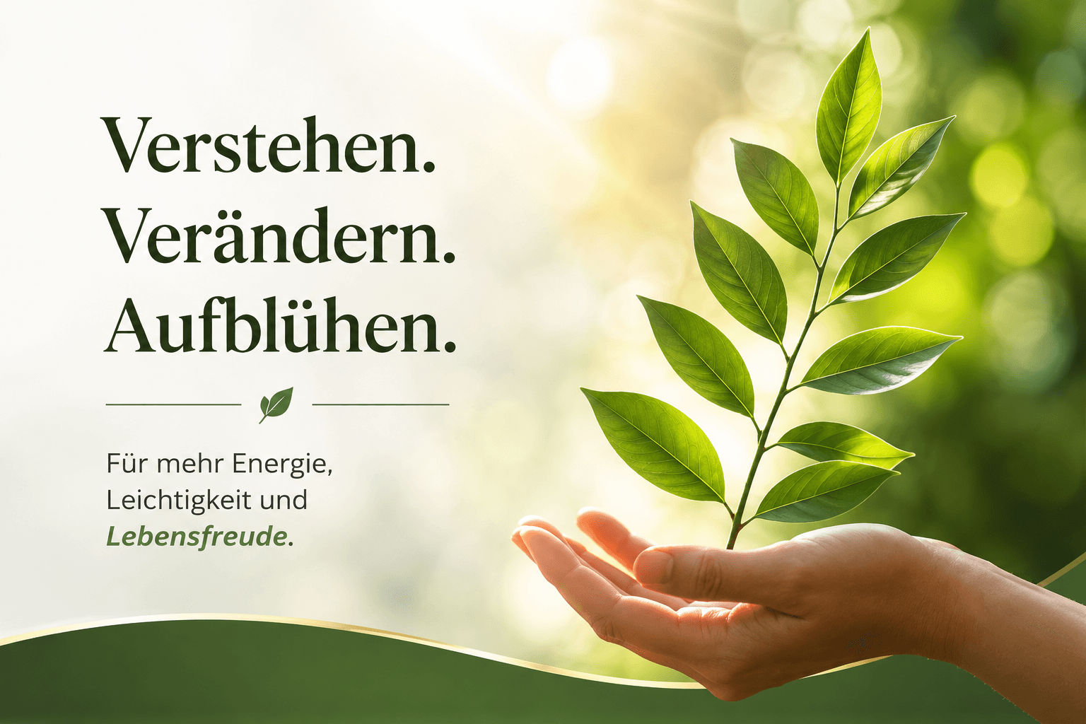 Verstehen. Verändern. Aufblühen. – für mehr Energie, Leichtigkeit und Lebensfreude